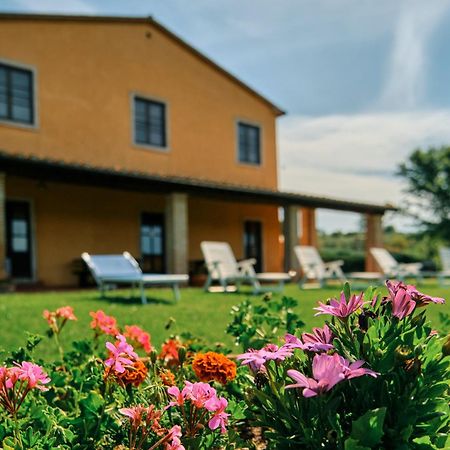 8380 Agriturismo Il Saragiolo マンチャーノ エクステリア 写真
