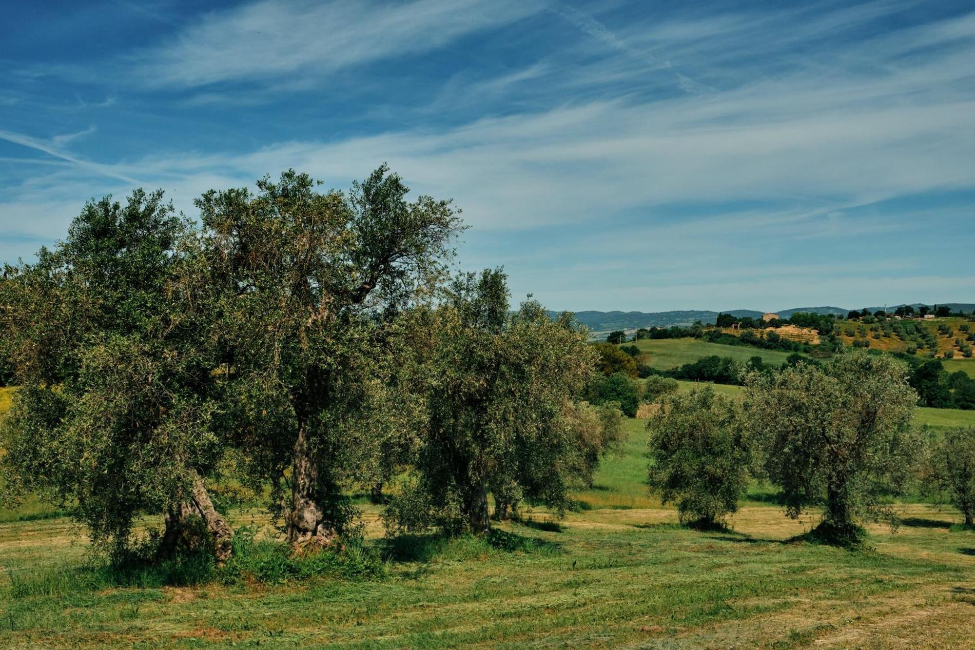 8380 Agriturismo Il Saragiolo マンチャーノ エクステリア 写真