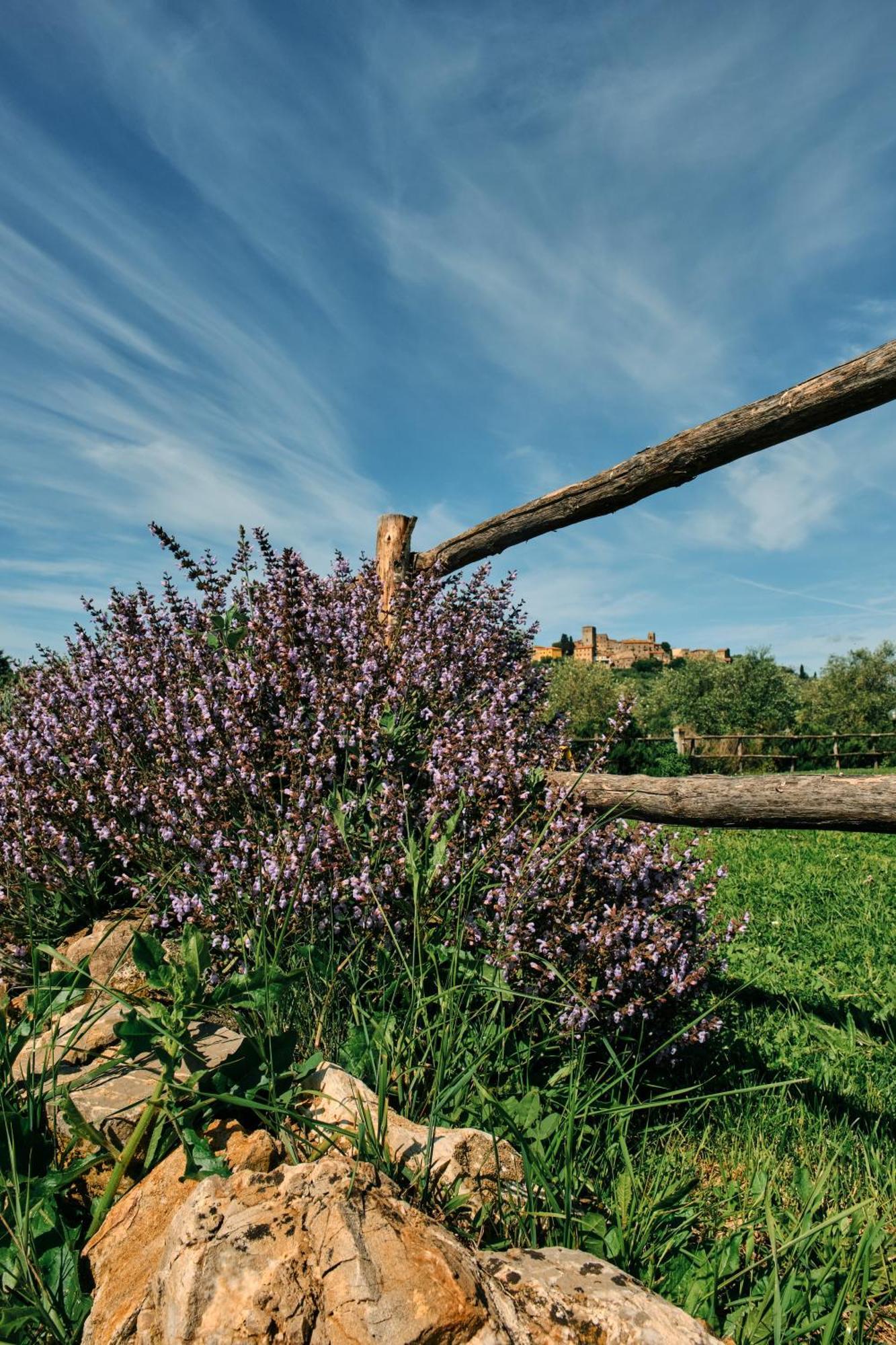 8380 Agriturismo Il Saragiolo マンチャーノ エクステリア 写真